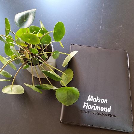 Maison Florimond Ньивпорт Экстерьер фото